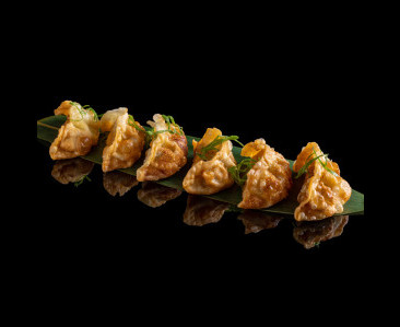 Product Duck Gyoza 6 pc