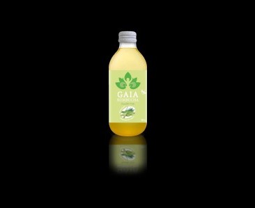 Product GAIA COMBUCHA GINGER 330 ml