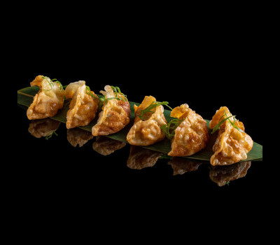 Product Duck Gyoza 6 pc