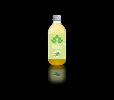 Product GAIA COMBUCHA GINGER 330 ml