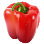 Bell pepper