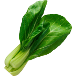 Bok choy salad