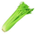 Celery