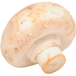 Champignons