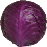 Red cabbage