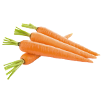 Carrot