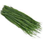 Chives﻿