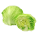 lettuce